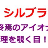 シルブラのオワオナに未来遺産「真理を覗く目」を付けるのはなぜか