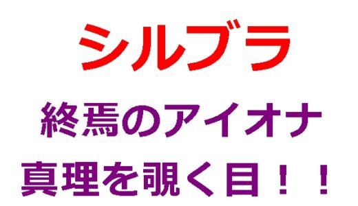 シルブラのオワオナに未来遺産「真理を覗く目」を付けるのはなぜか